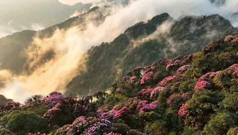 Lai Chau Travel Guide