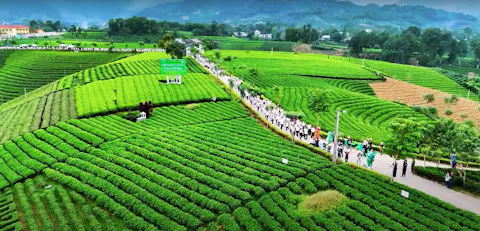 Thai Nguyen Travel Guide