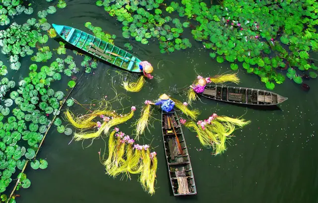Discover Southern Vietnam – A Land of Vibrant Cities, Tropical Landscapes & Local Culture