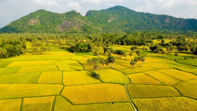 An Giang in Frames – Sacred Mountains, Rivers & Cultural Diversity