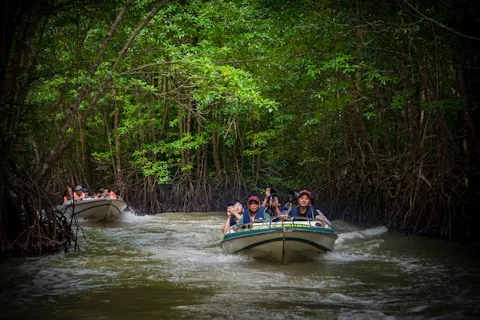 Ca Mau Travel Guide