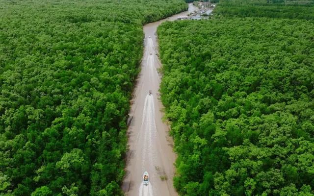 Ca Mau in Frames – Mangrove Forests, Rivers & The Southernmost Land of Vietnam