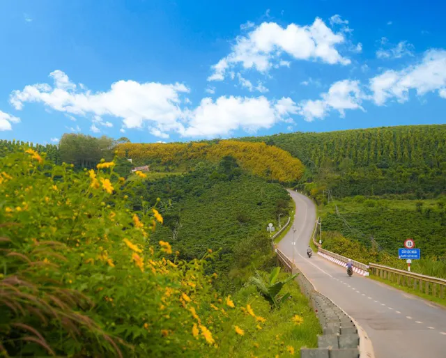 Lam Dong in Frames – Highland Landscapes, Pine Forests & Da Lat Charm