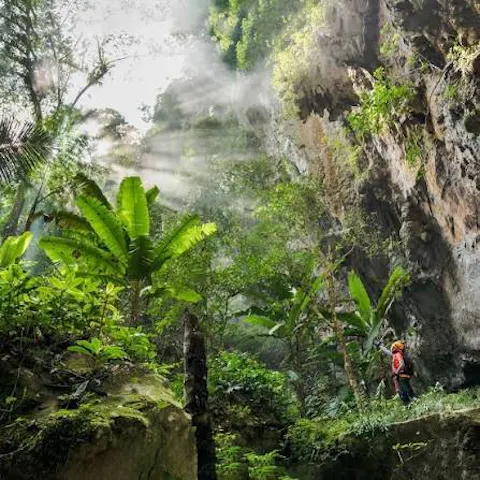 Son Doong Cave
