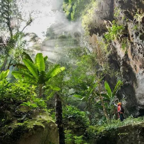 Son Doong Cave