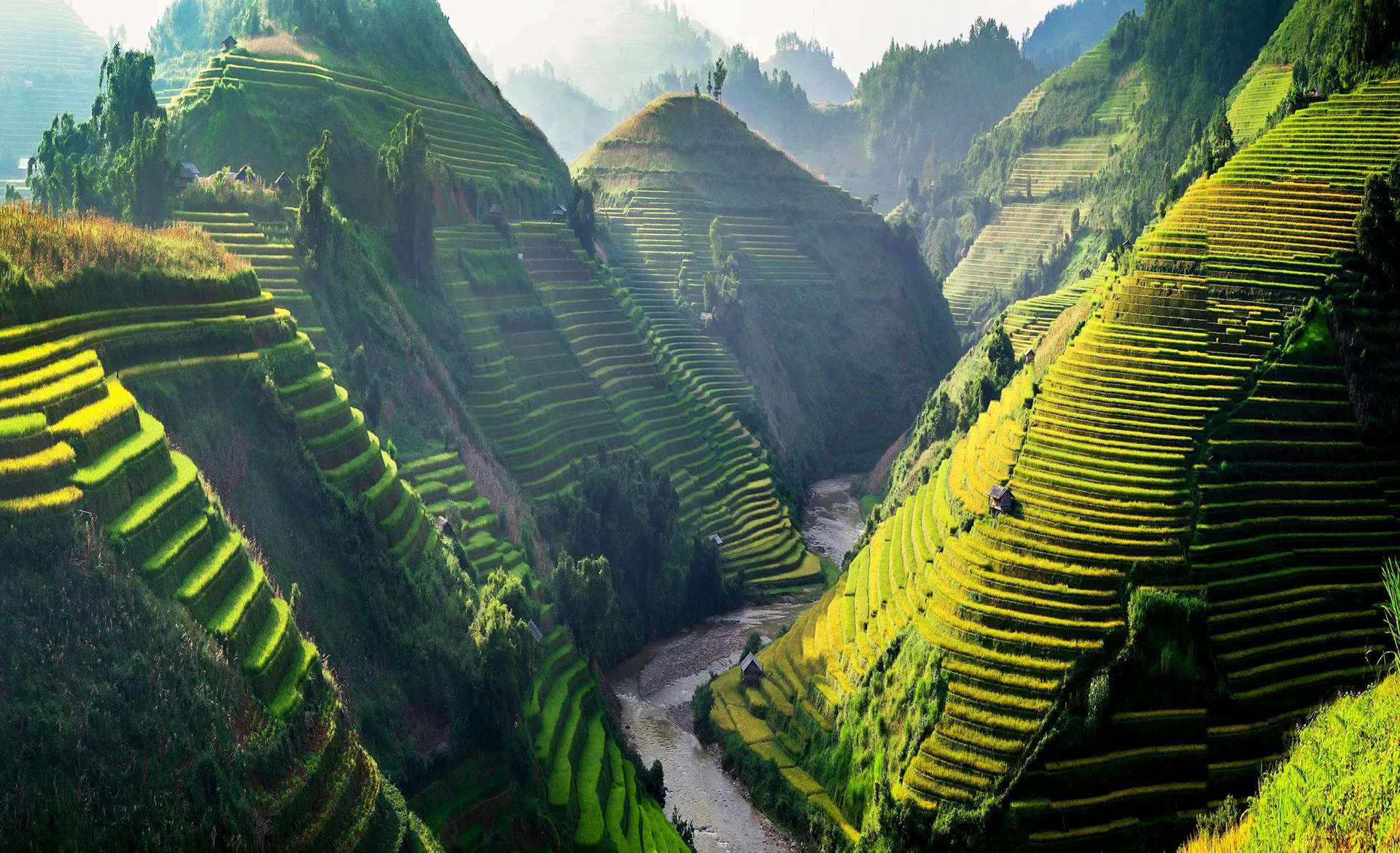 Best of Vietnam