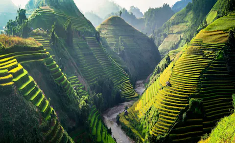 Best of Vietnamimage