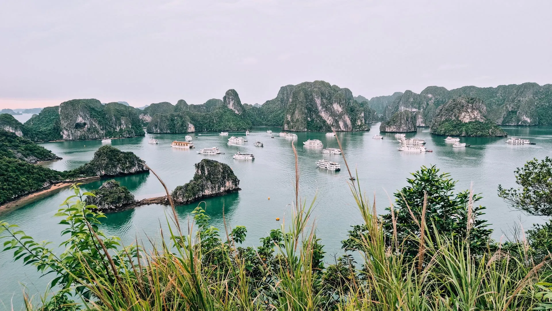 Travel Tips for Vietnam