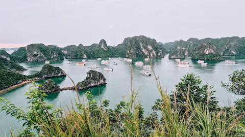 Travel Tipsimage