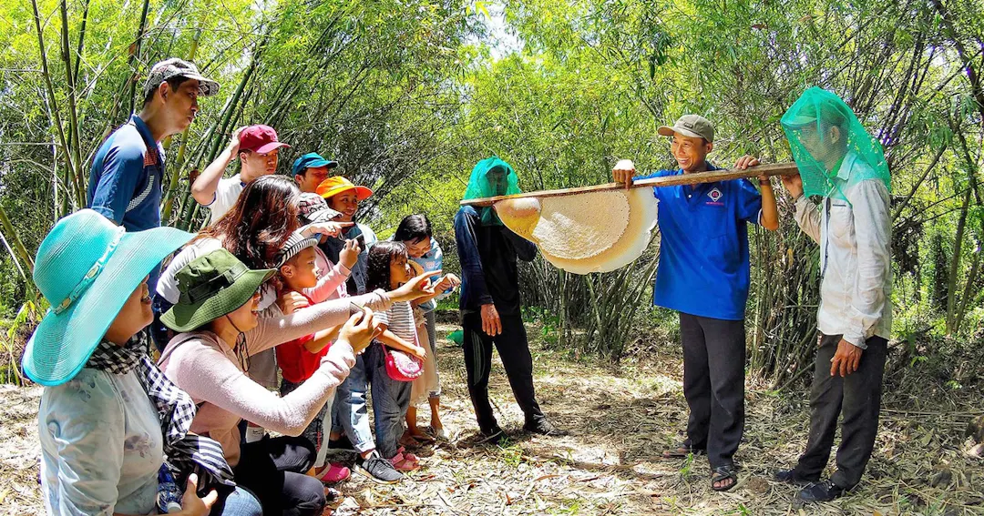 The Traditional "Gác Kèo Ong" (Honey Hunting) Masterclass