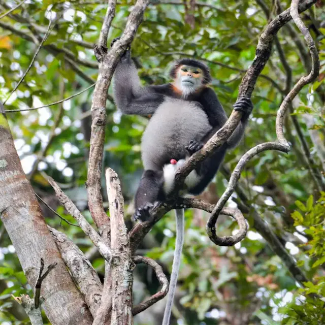 Cat Tien National Park in Frames – Rainforest Wildlife, Rivers & Jungle Adventure