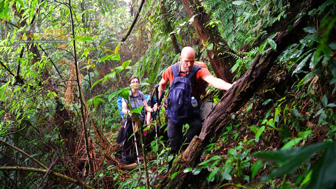 How Difficult Is Trekking in Vietnam?