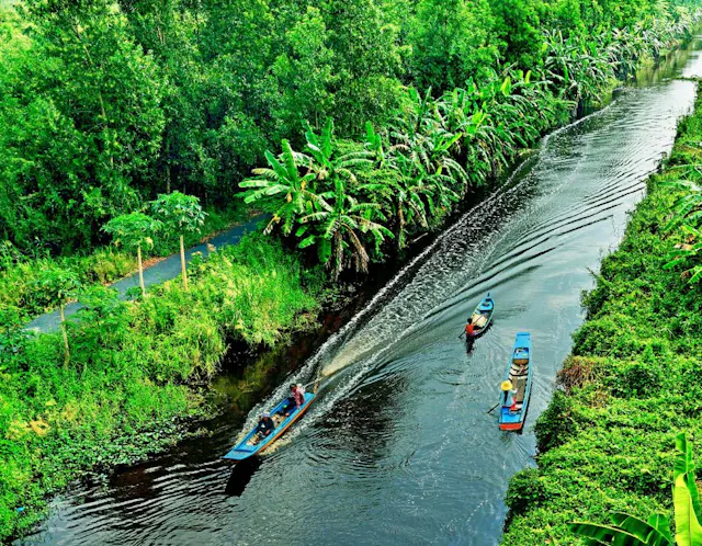 U Minh Ha National Park Photo Gallery
