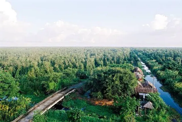 About U Minh Ha National Park