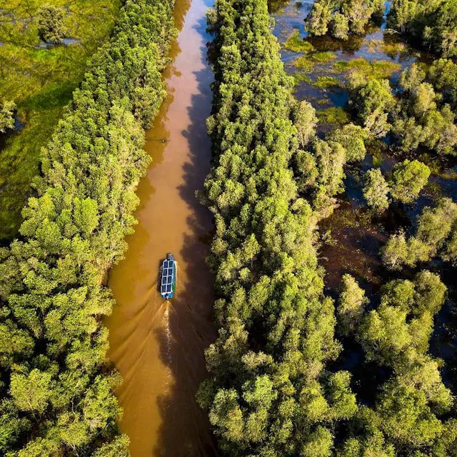 Tram Chim National Park in Frames – Wetlands, Birds & Mekong Delta Nature