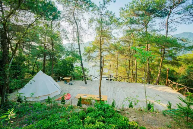 Tam Dao National Park – A Misty Mountain Escape Surrounded by Nature