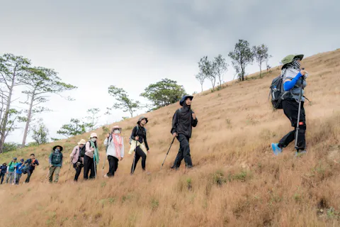 Best Trekking Routes in Vietnam: Top Multi-Day Treks & Adventures