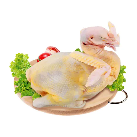 Free-Range Chicken