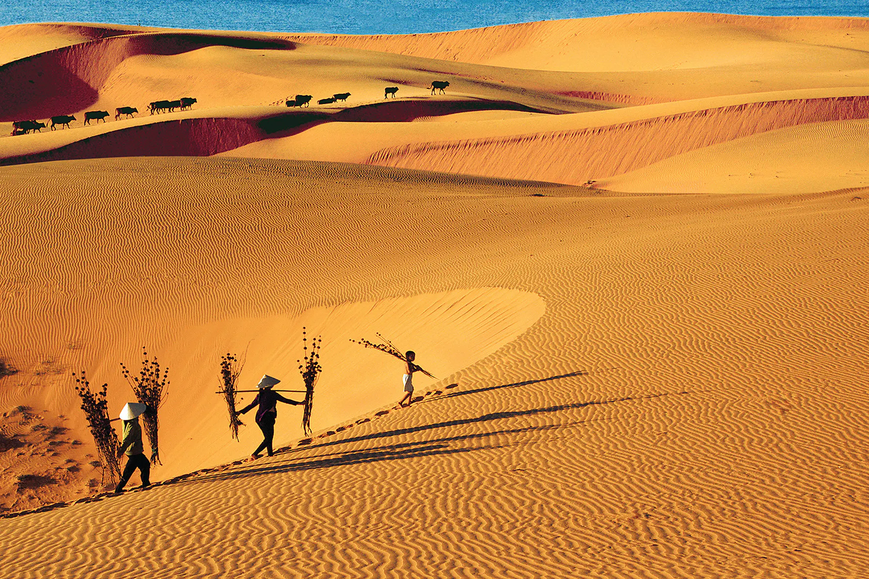 Phan Thiet Travel Guide