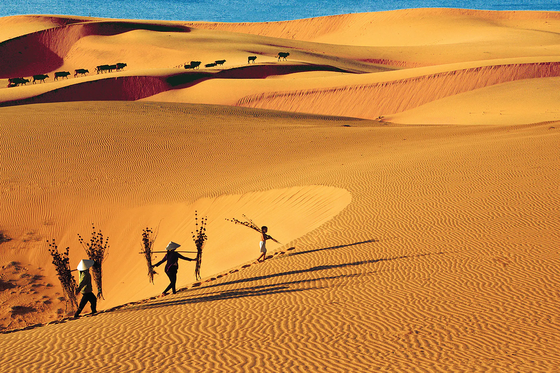 Phan Thiet Travel Guide