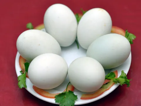 Fertilized Duck Egg