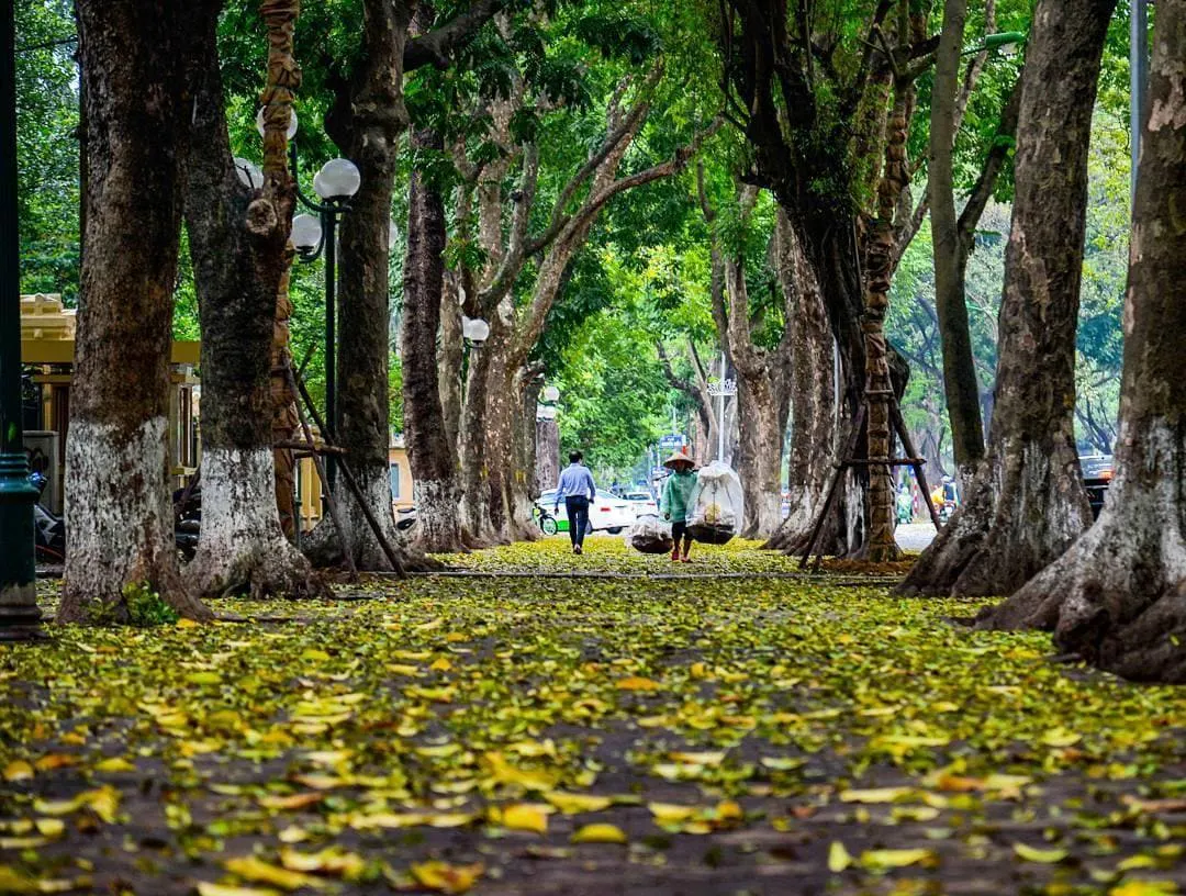 Decoding the Climate and Seasonal Rhythms