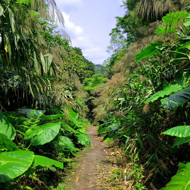 Cat Ba National Park in Frames – Island Forests, Limestone Mountains & Coastal Nature