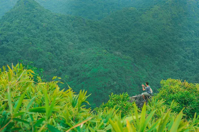 Cat Ba National Park in Frames – Island Forests, Limestone Mountains & Coastal Nature