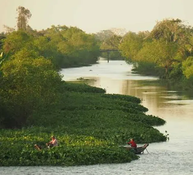About An Binh Islet
