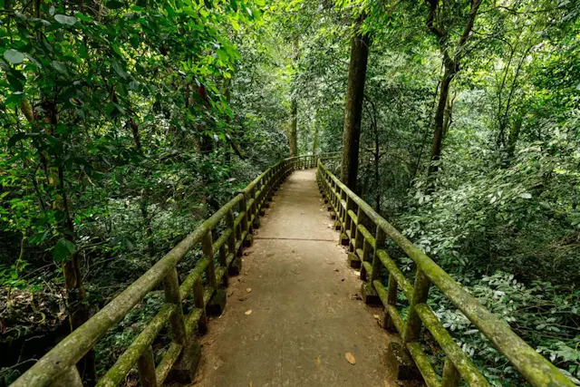 Cuc Phuong National Park in Frames – Ancient Forests, Wildlife & Natural Beauty