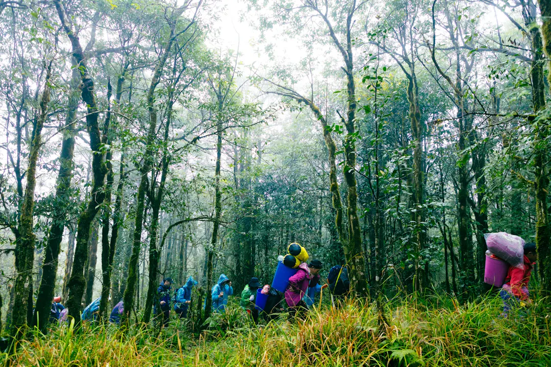 The Hoang Lien Son Giants – Fansipan and Beyond
