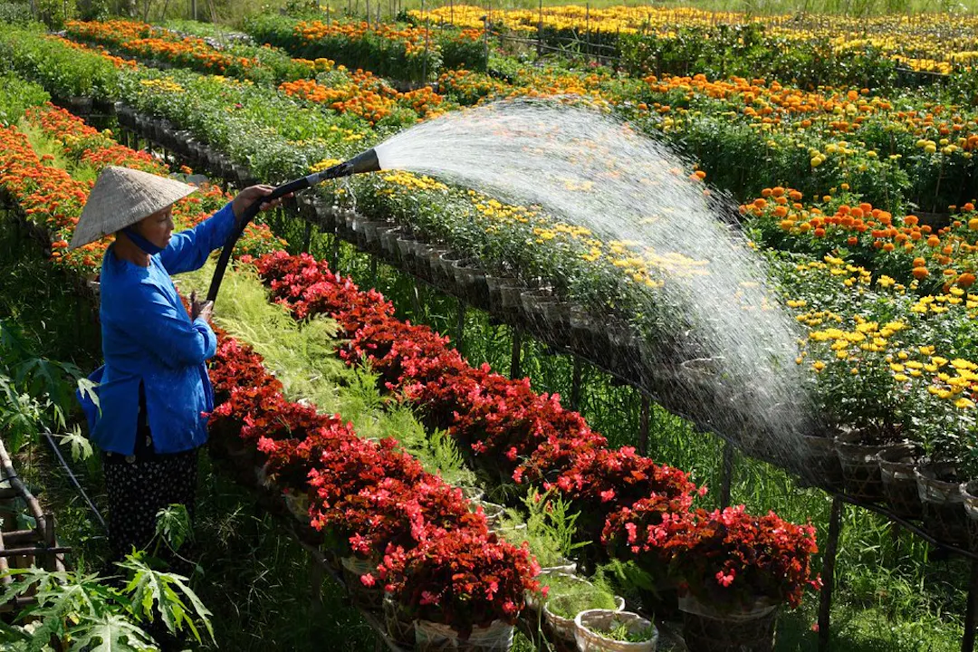 Sa Dec Flower Village