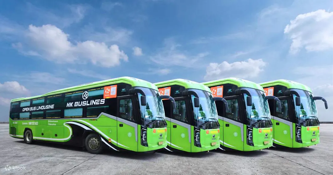 Sleeper Buses & Limousine Vans — Budget-Friendly & Hyper-Flexible