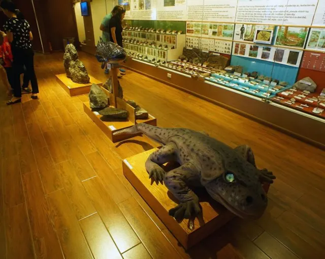 Vietnam National Museum of Nature in Pictures – Fossils, Wildlife & Natural Wonders