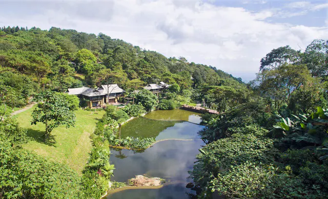 Ba Vi National Park in Frames – Forests, Mountains & Natural Beauty
