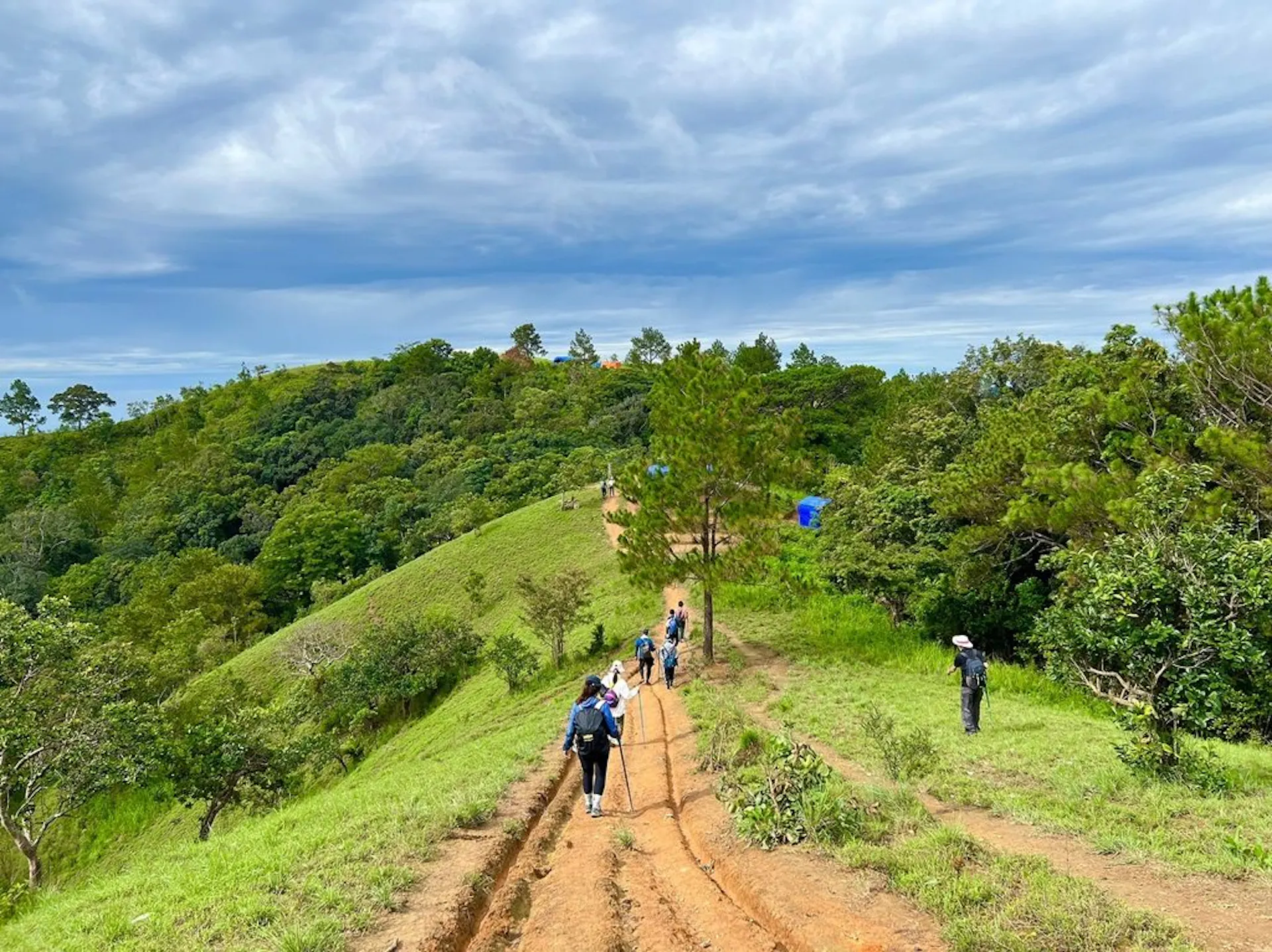 Best Hiking Trails in Vietnam: The Ultimate Wilderness Trekking Guide