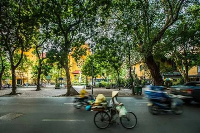 Inspiring Travel Stories From Every Corner of Beautiful Vietnam Await You