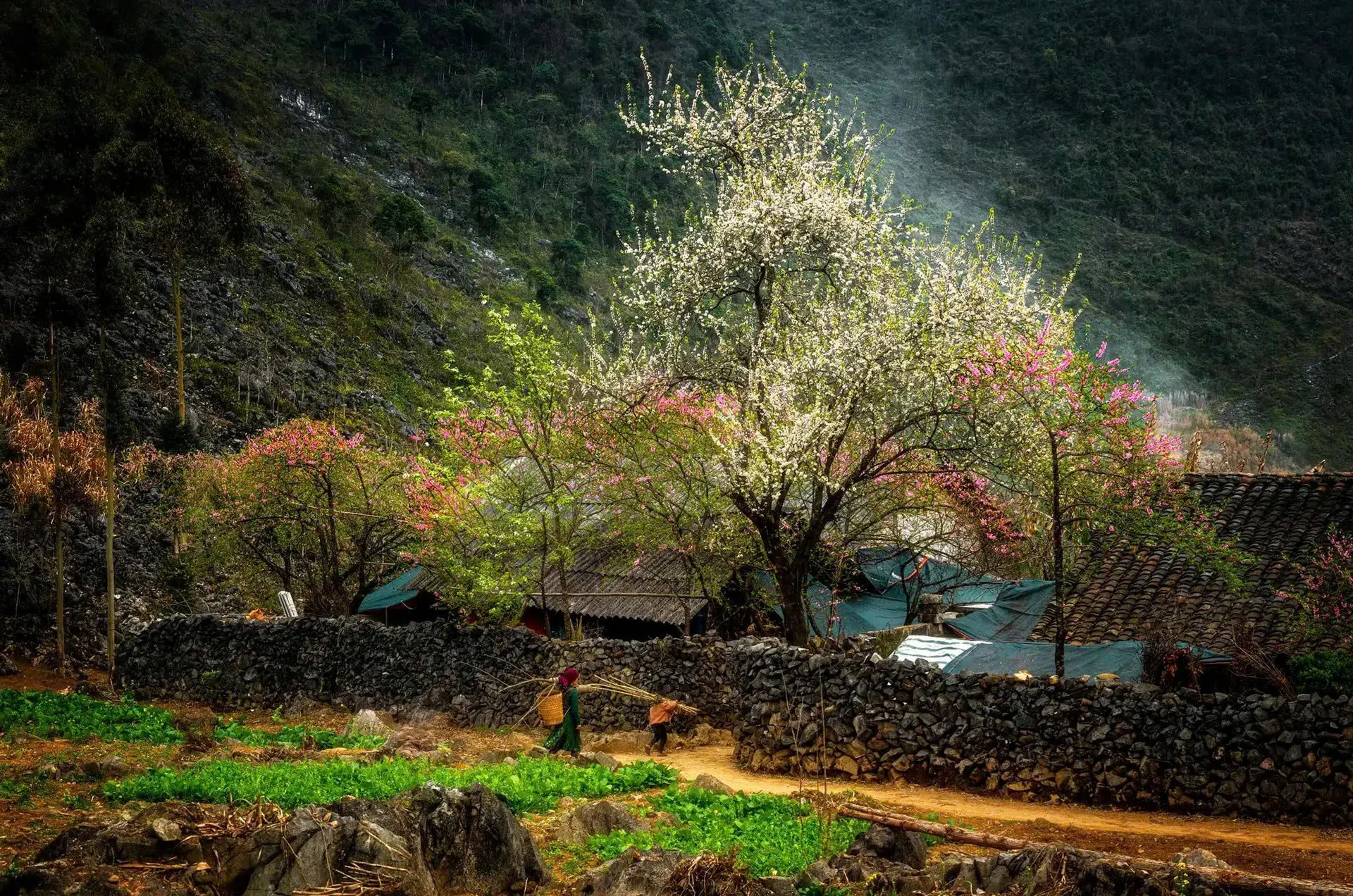 Ha Giang Travel Guide