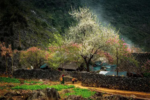 Ha Giang Travel Guide
