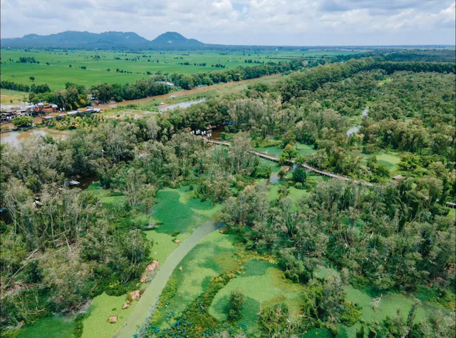 Tra Su Cajuput Forest Photo Gallery
