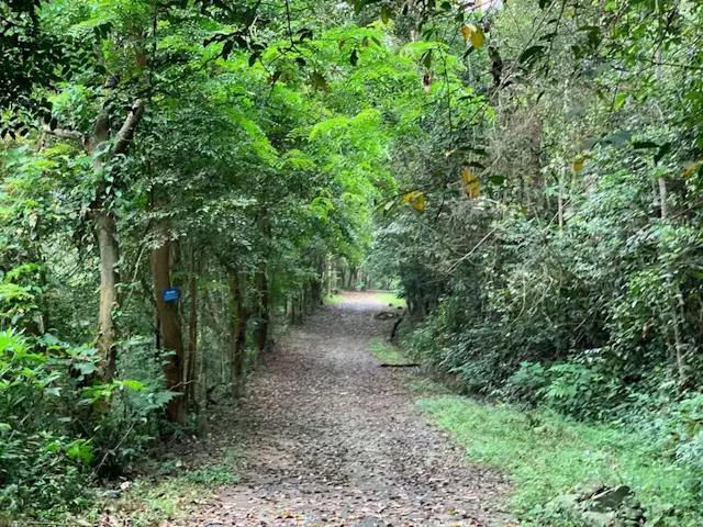 Tam Dao National Park in Frames – Misty Mountains, Forests & Natural Wonders