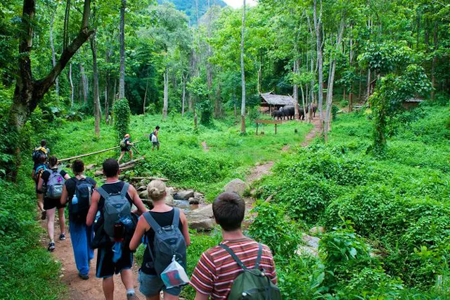 Cuc Phuong National Park in Frames – Ancient Forests, Wildlife & Natural Beauty