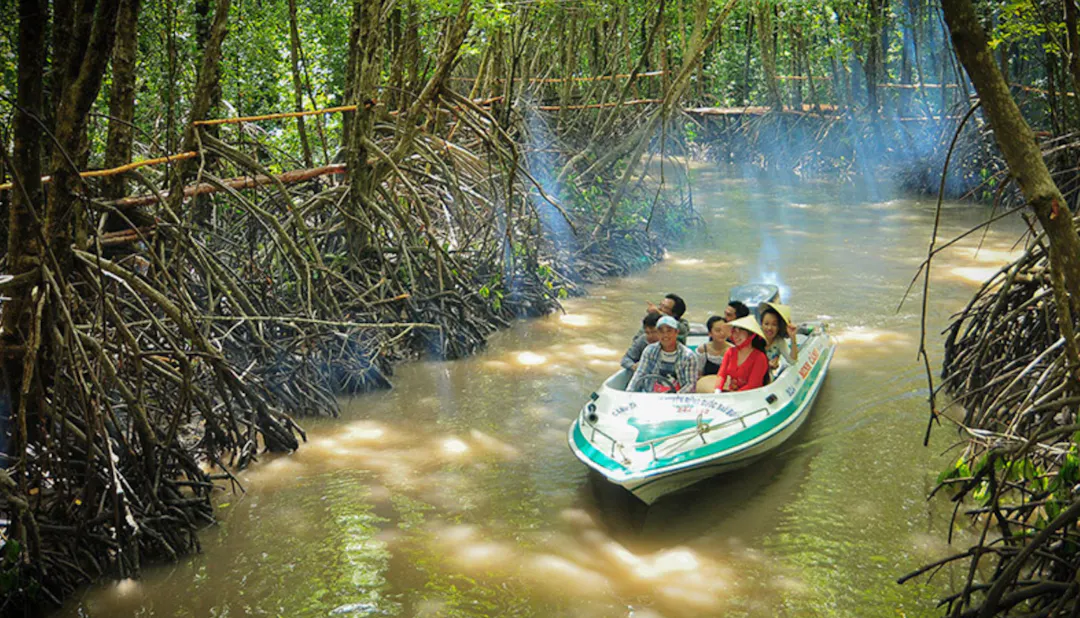 Practical Survival Tips for How to Get to Ca Mau Safely