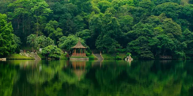 Ba Vi National Park in Frames – Forests, Mountains & Natural Beauty
