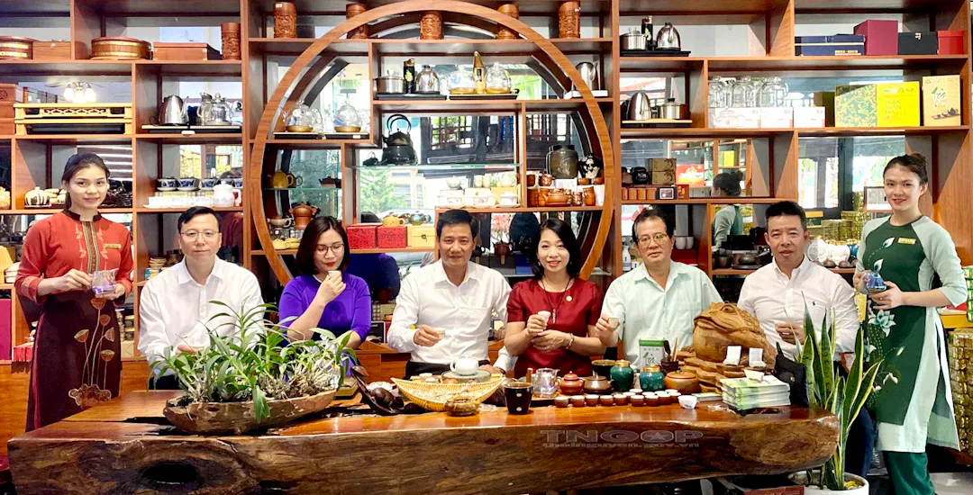 Decoding Thai Nguyen’s Tea Gastronomy
