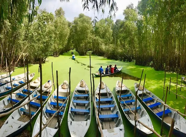 Tra Su Cajuput Forest Photo Gallery