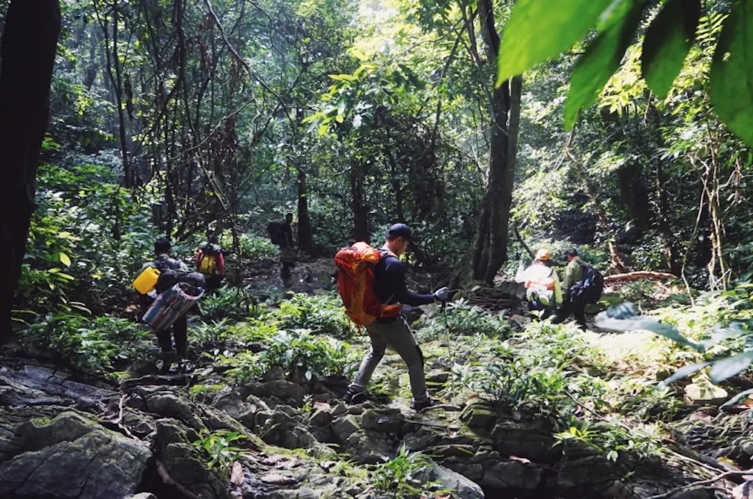 Cuc Phuong Hiking