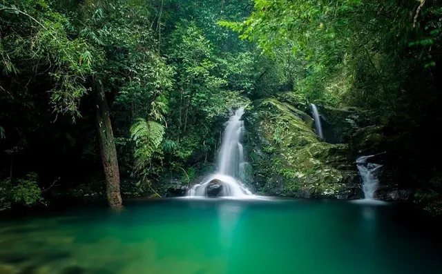 Bach Ma National Park in Frames – Misty Peaks, Waterfalls & Forest Beauty