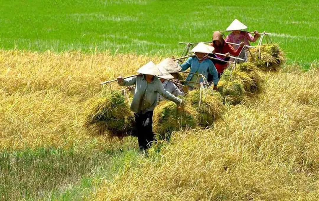 Vietnam Itinerary 21 Days