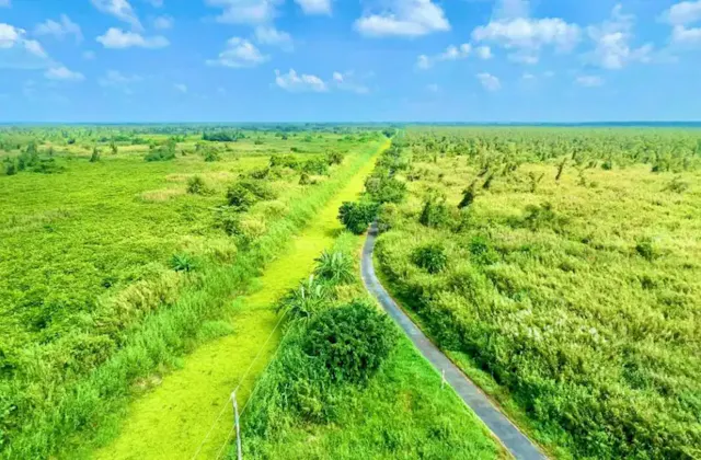 U Minh Ha National Park Photo Gallery
